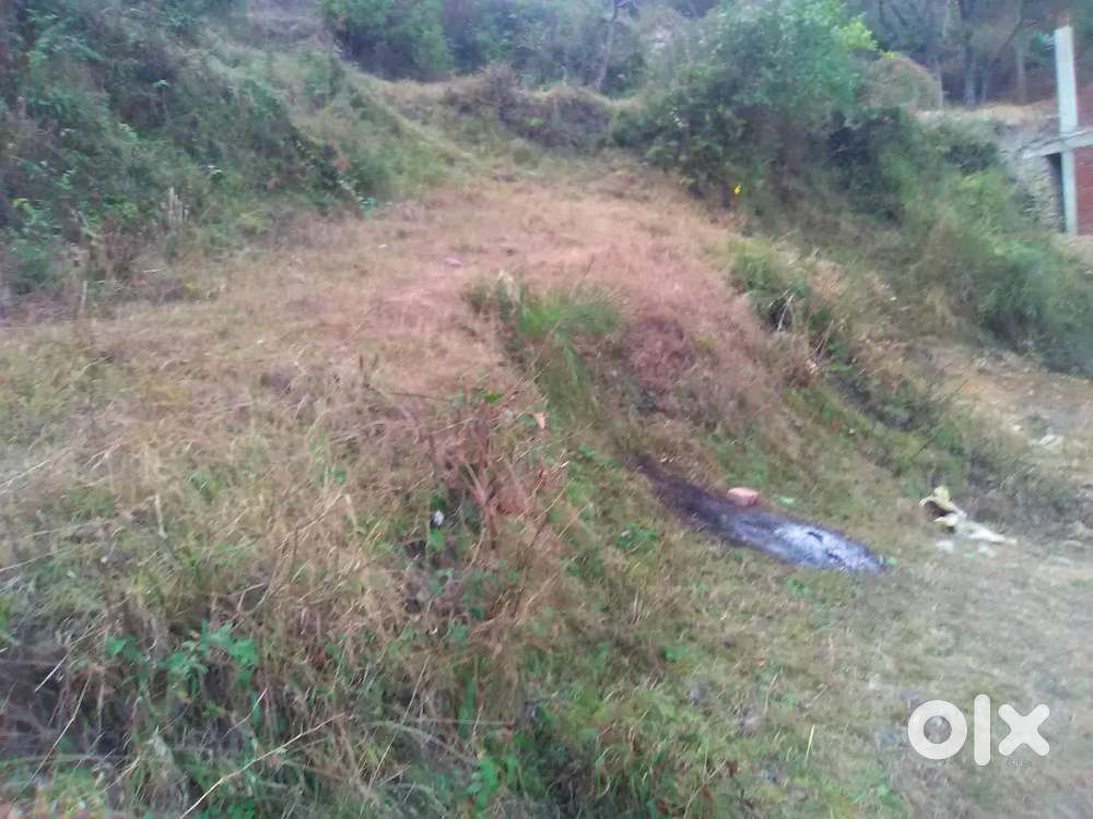 2biswa loharo ghati solan