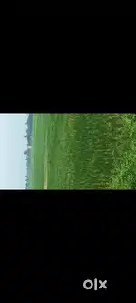 Gorkhpur maniram mini PGI se aage Maharajganj chauraha se pacchim site