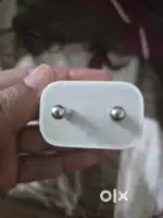 Apple original Adapter