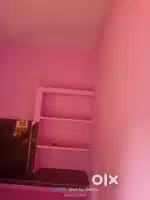 housing for rent