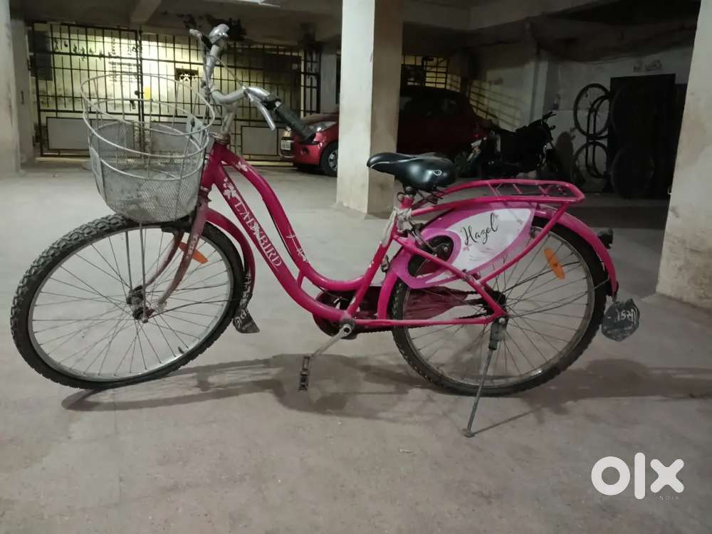 PINK BICYCLE