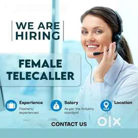 Female Telecaller Work From Home