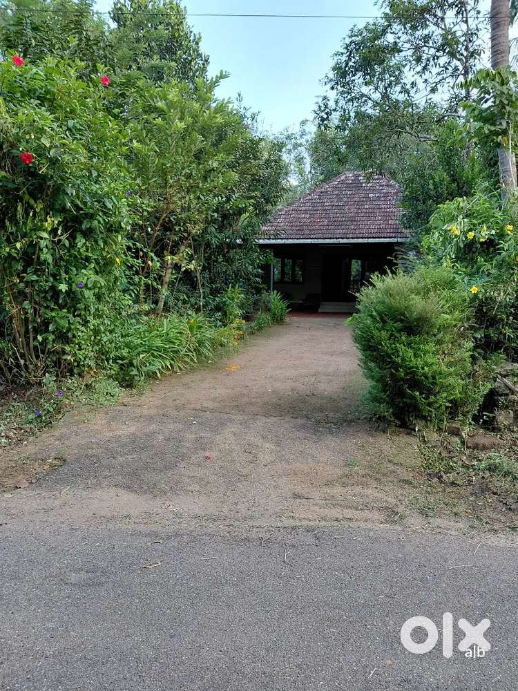 Immediate selling 93 Cents Agricultural Land with House and Pattayam