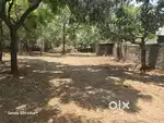 A KATHA SITE FOR SALE NEAR NAGASANDAR