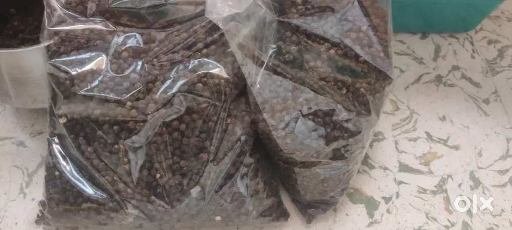 மிளகு / Black Pepper – விவசாய நிலத்திலிருந்து நேருக்கு நேர்