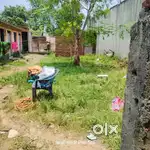 Cnt free plot or sale