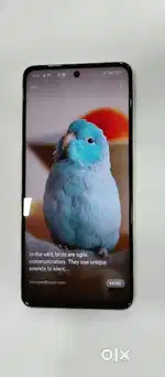 Oppo f23 5g full condition mobile all accessories available