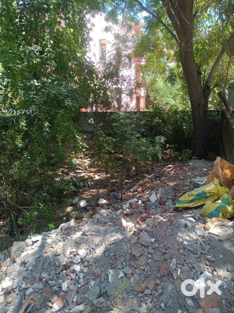 Main Area plot in Tirunelveli Pettai