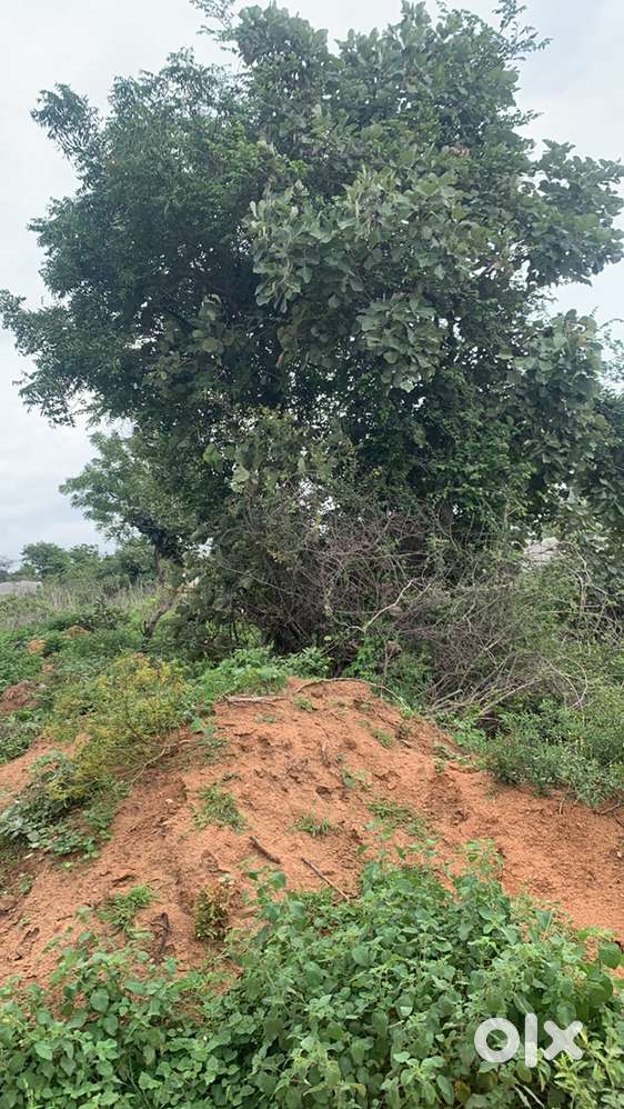 West 600 SNR Plot ( Shameerpet )