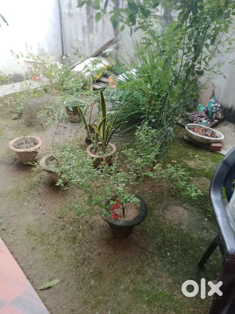 Koi Kami hoti hai to aap mujhse vartalap kar sakte hain har prakar ka