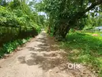 24 cent land or plot for sale in kanjoor parappuram,near Perumbavoor