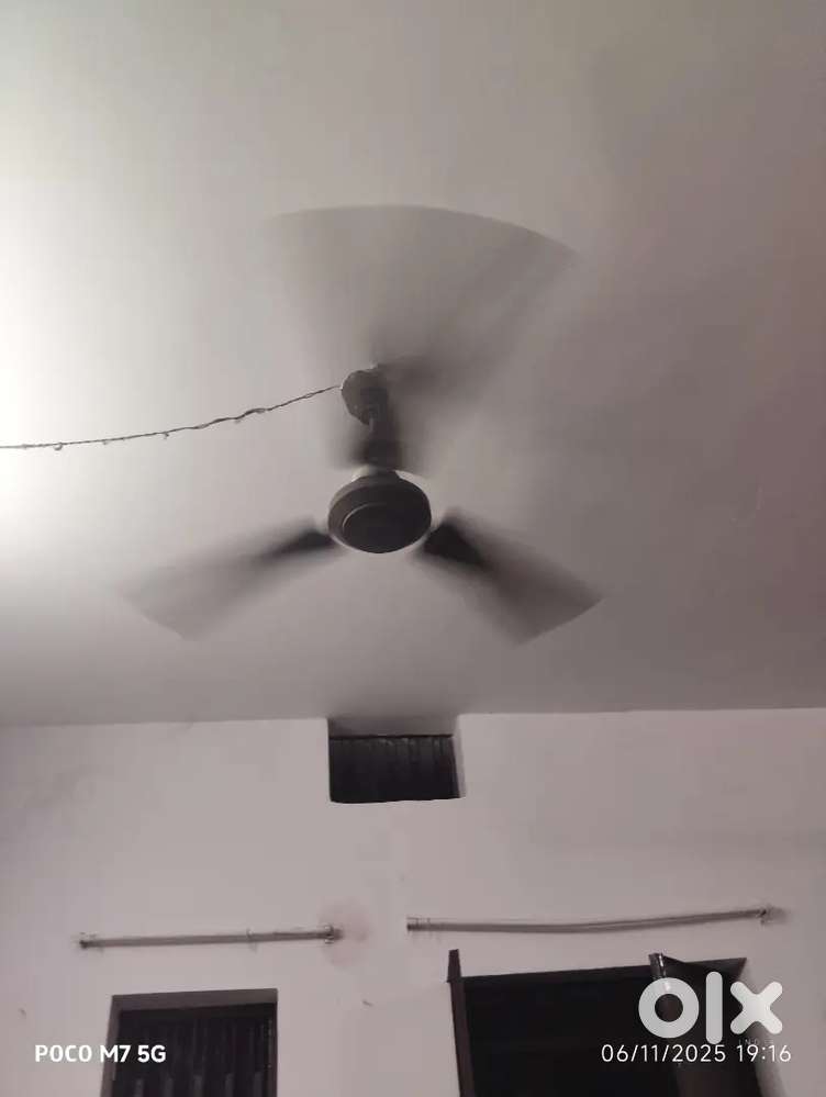 Philips fan