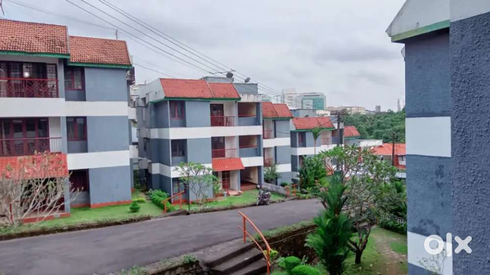 Pg for ladies near infopark 5min walkable distance to infopark