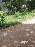 4 സെന്റ് സ്ഥലം വില്പനക്ക്. വേങ്ങേരി ഹൈവേ യിൽ നിന്ന് 500 മീറ്റർ മാറി