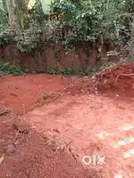 68 cent Residential plot for sale in Kakkatiri, Palakkad