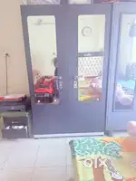 Iron Almirah double door