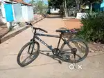 Globate Cross Bicycle