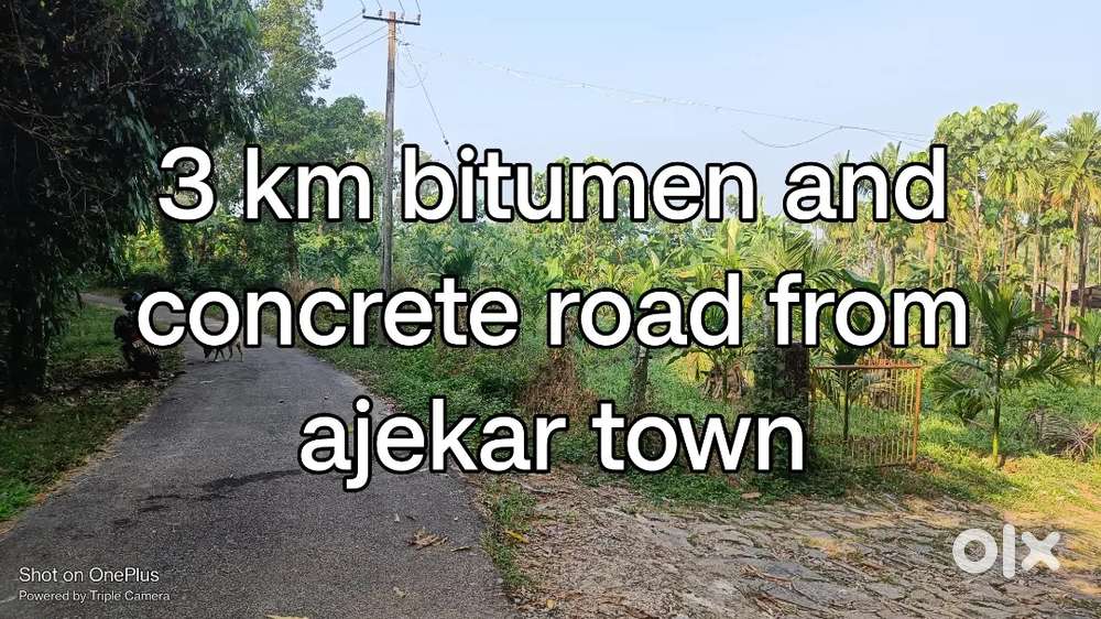 6 acres beautiful scenic arecanut estate nearAjekartown Udupi for sale