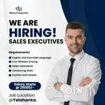 Hiring Real Estate Sales Executive