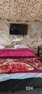 Girls hostel / Room for rent near climax coaching centre