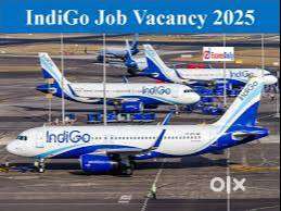 Female Candidates Freshers & Experience  Apply Fast Join Us Indigo Air