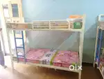 Bunk Bed High Quality New