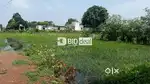 Residential Open Plot(Bodri)