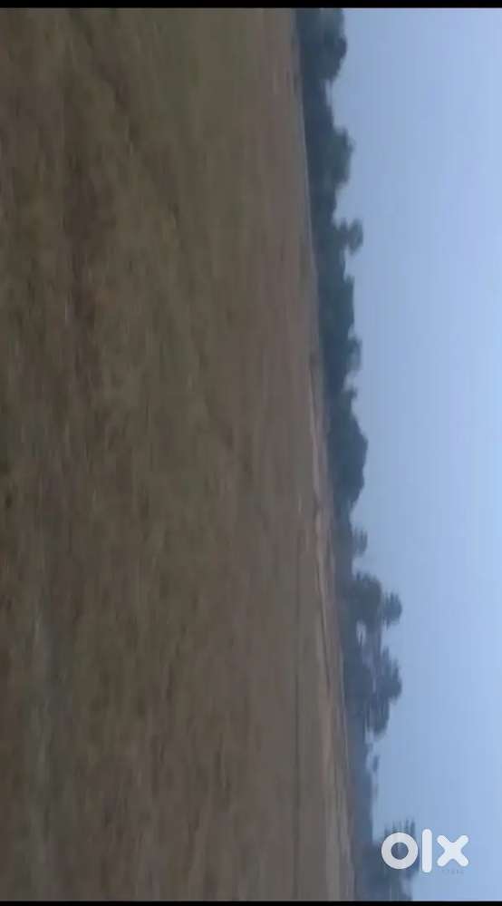 Sale for general plot in Tamar