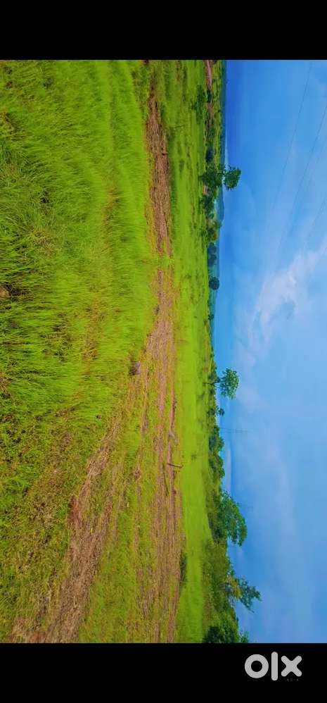 4 acre zameen bechna hai.