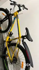 Cult sports