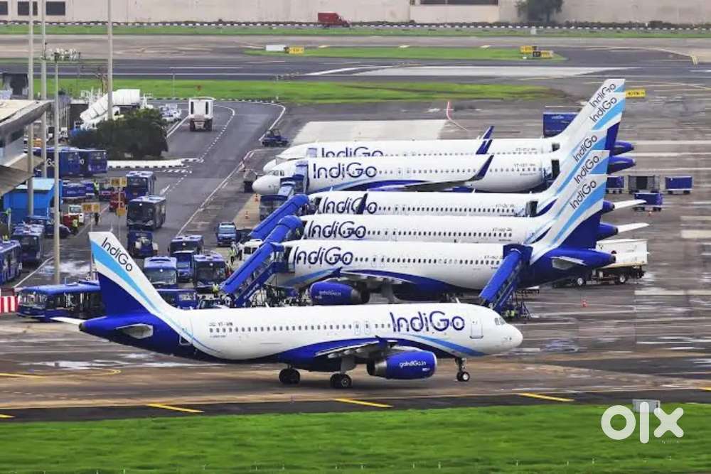Hiring for Domestic and International Airport Jobs urgent apply