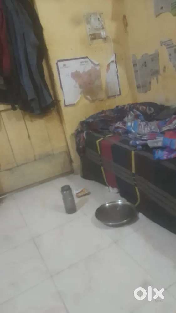 Roommate needed bechlor