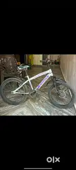 Cycle bycycle with disc break