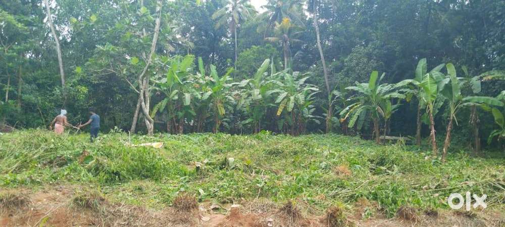 Residential plot available for sale with an area of 25 cents