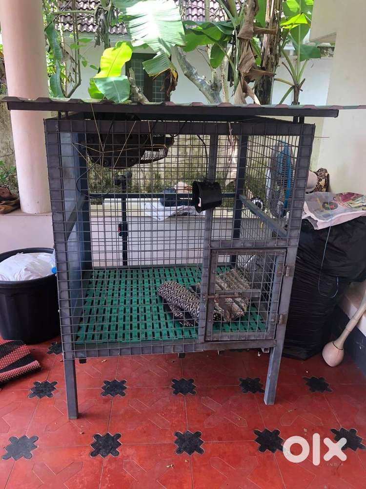 Sturdy Dog Cage for Sale – Perfect for Small & Medium Pets