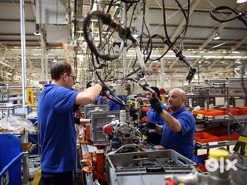 We are wanted in tafe motors job