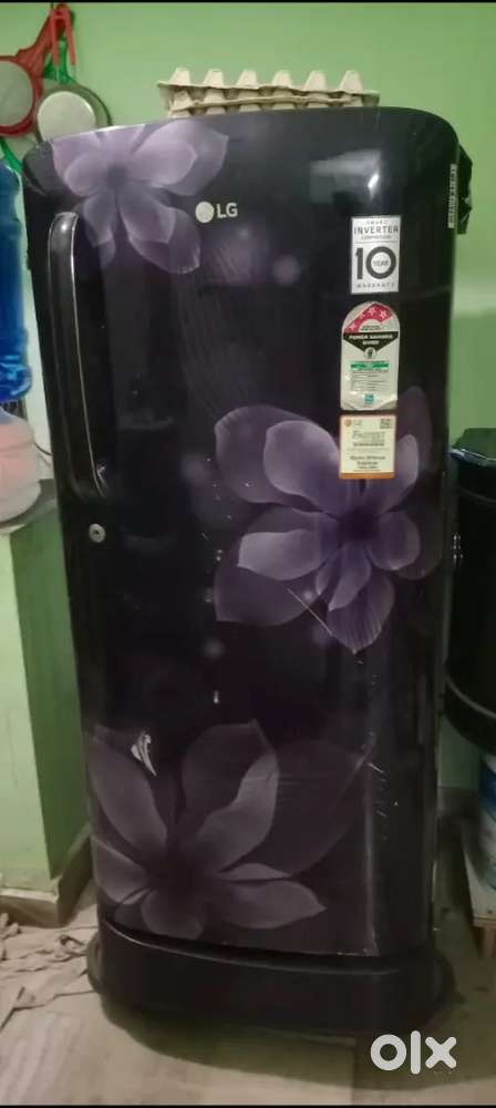 Very Neat Condition House Shifting