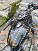 Standard 350