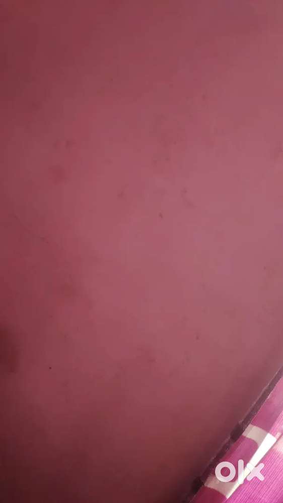 7 cent plot with small house near paippad junction