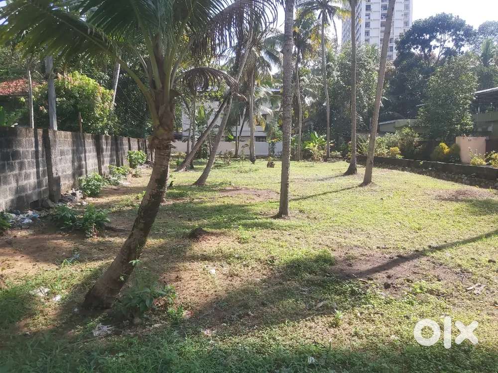 20 cents land for sale