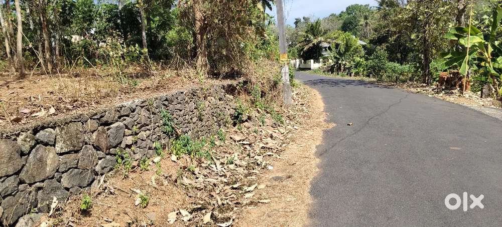 ഏറ്റുമാനൂർ കണക്കാരിൽ  മെയിൻ റോഡിൽ നിന്നും 1 km ദൂരത്തിൽ 10 സെന്റ്