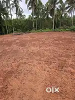 കണ്ണൂർ കണ്ണാടിപറമ്പ് ചേലേരി സ്ഥലം വില്പനക്ക്