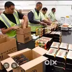 Packing helper jobs Ludhiana
