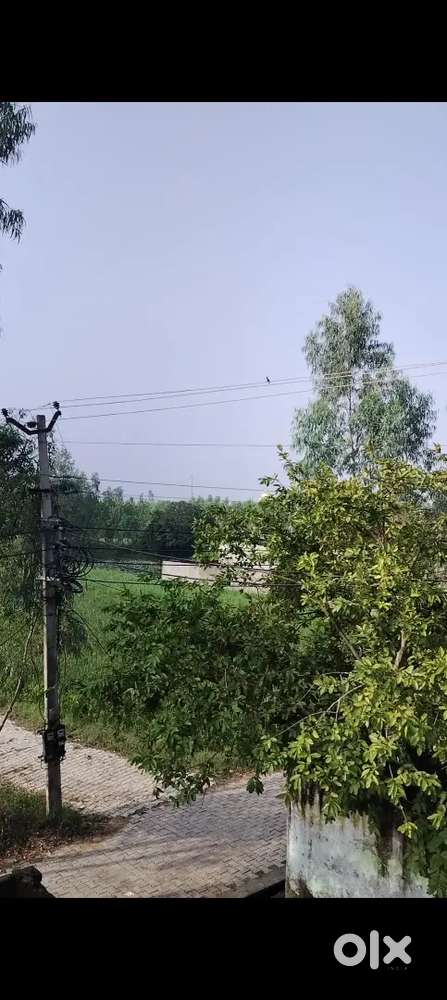 Plot for sell utgent