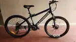 21 gear cycle