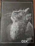 Cat drawing