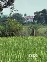 Katara Ext Farm House Land