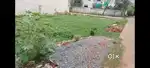 2200 sq ft Plot in Ashoknagar, Bilaspur