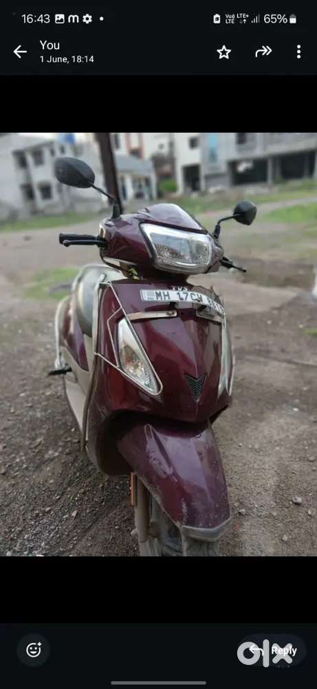JUPITER zx Bs6