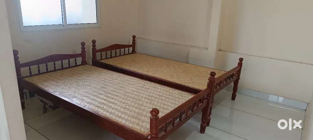 Ledish batchilar apartment 1bhk rent 10000 near edappally